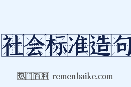 社会标准造句是什么意思的图片